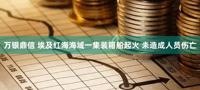 万银鼎信 埃及红海海域一集装箱船起火 未造成人员伤亡